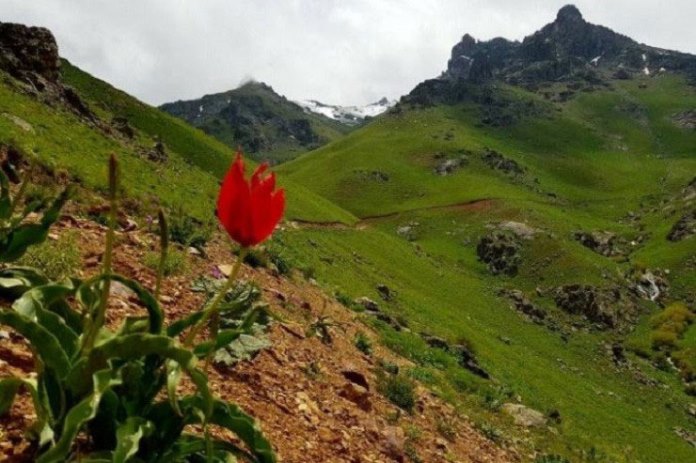 قله زلیخا - خرداد1402