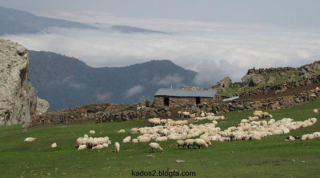 پیمایش آببر زنجان به روستای گشت رودخان 2