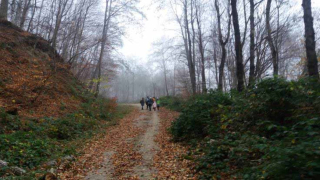 رکابزنی پاییزی در جنگل سنگده 3