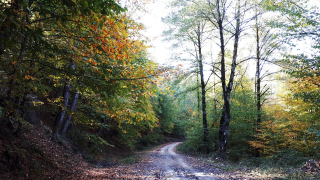 رکابزنی پاییزی در جنگل سنگده 4