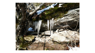 صعود به قله امامزاده قاسم از روستای پاشاکلا 4