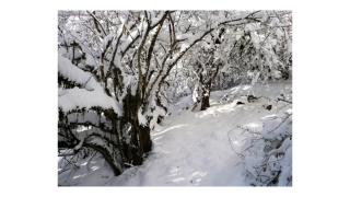 صعود به قله امامزاده قاسم از روستای پاشاکلا 3