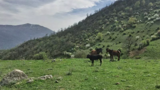 کوهنوردی ارفع کوه و چشمه پرو 3