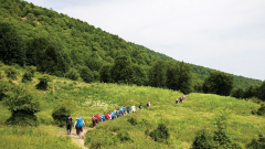 کوهنوردی ارفع کوه و چشمه پرو