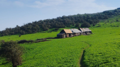 صعود به قله نقله سر