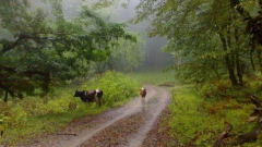 دوچرخه سواری الموت به فلکده