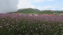 پیمایش دریاچه نئور به ییلاق سوباتان و لیسار