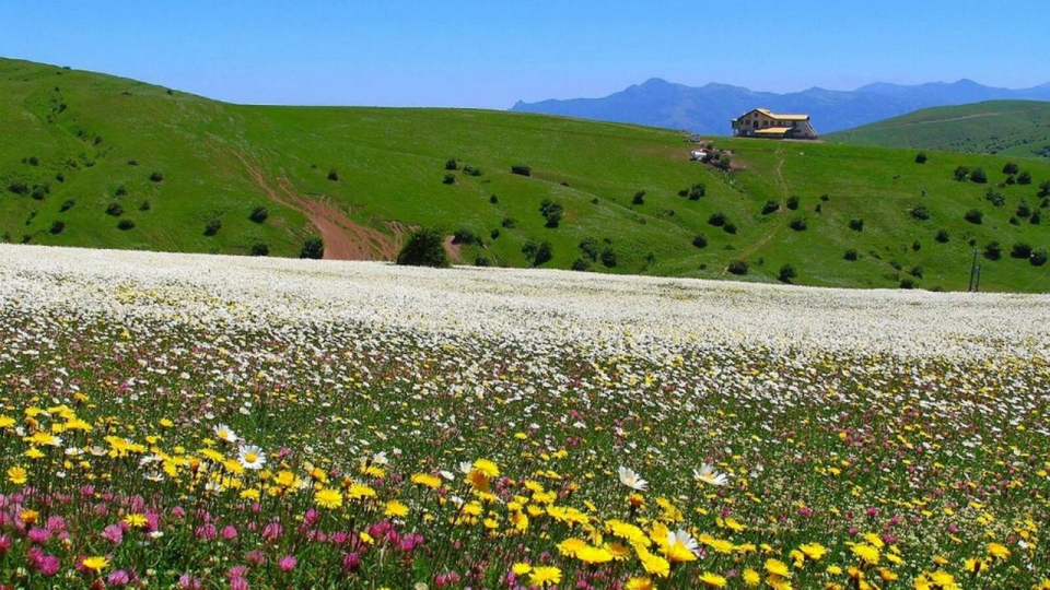 دوچرخه سواری و اردبیل گردی