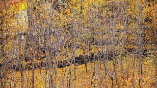 فراخوان رکابزنی اوشان،آهار و آبشار ده تنگه 3