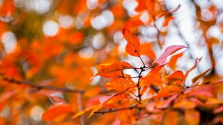 فراخوان رکابزنی اوشان،آهار و آبشار ده تنگه 5