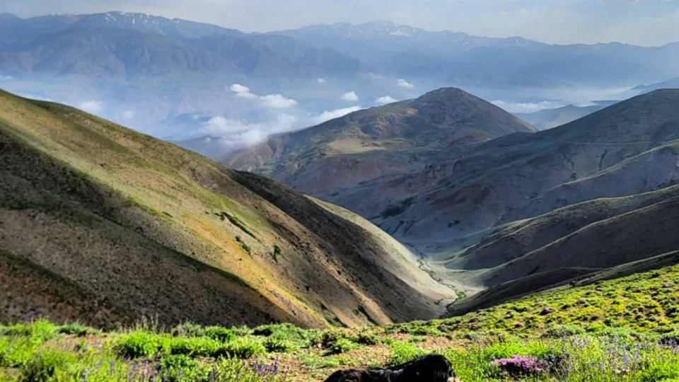 صعود به قله اودل از ولیان