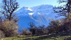 پیمایش جنگل آشیر و صعود به قله ۲۵۳۰متری مِرنو