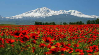 صعود به قله سبلان